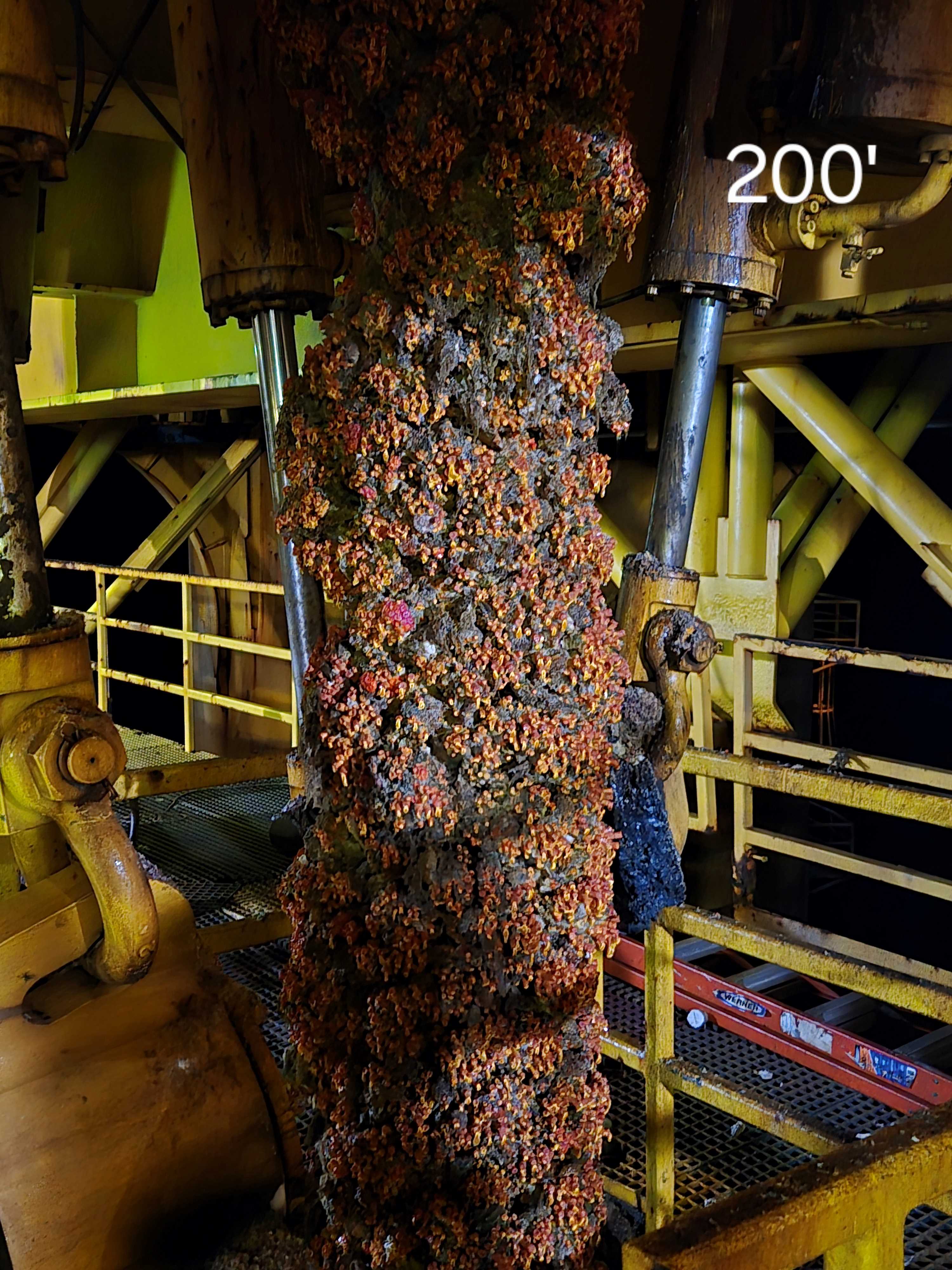 GC 184 Marine Growth on Riser connected to Tensioner